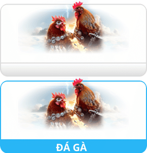 đá gà ko66